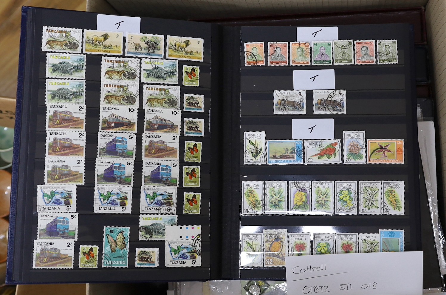 Large collection of world stamps in albums plus loose with Great Britain, British commonwealth, China, 2 boxes